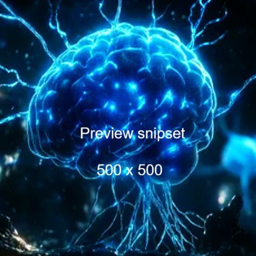 snipset